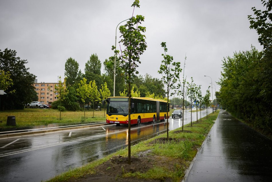 Łódź. Popiełuszki coraz bardziej zielona. Nowe drzewa i krzewy poprawiły estetykę ulicy