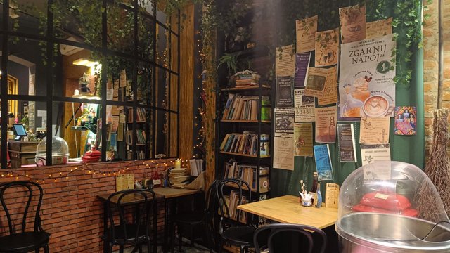 Gdzie w Łodzi kupić różdżki i eliksiry? Odkryj w sobie czarodzieja w Sklepiku Magicznym [ZDJĘCIA]