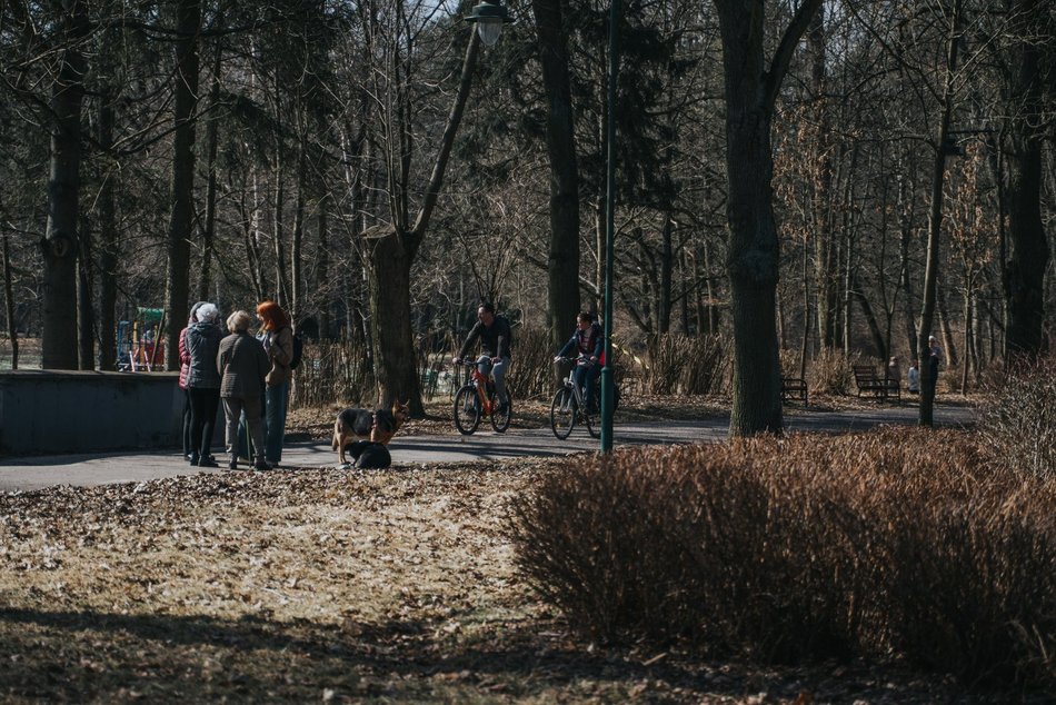 Łódź. Dobra pogoda w Łodzi sprzyja spacerowaniu! Tłumy w Parku na Zdrowiu w Łodzi