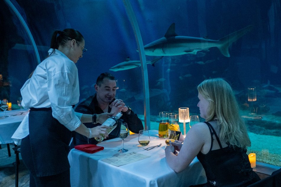 Łódź. Walentynki w Orientarium Zoo Łódź. Przysmaki, koncert na harfie i... zaręczyny