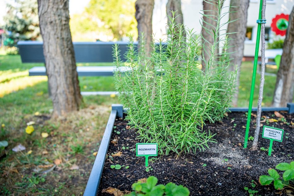 Ogród przy Przedszkolu Miejskim nr 105