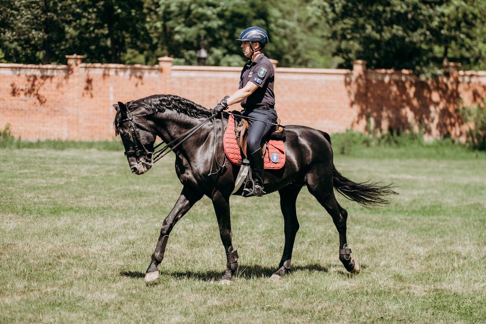 Międzynarodowy Turniej Mundurowych Formacji Konnych