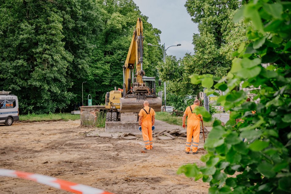 Łódź. Łódź weszła w lato na zielono! Tysiące nowych drzew, kwiaty i trawniki