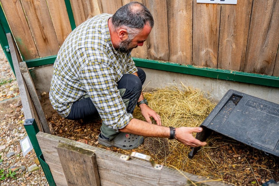 Łódź. Ośrodek Rehabilitacji Dzikich Zwierząt pomaga kolejnym podopiecznym