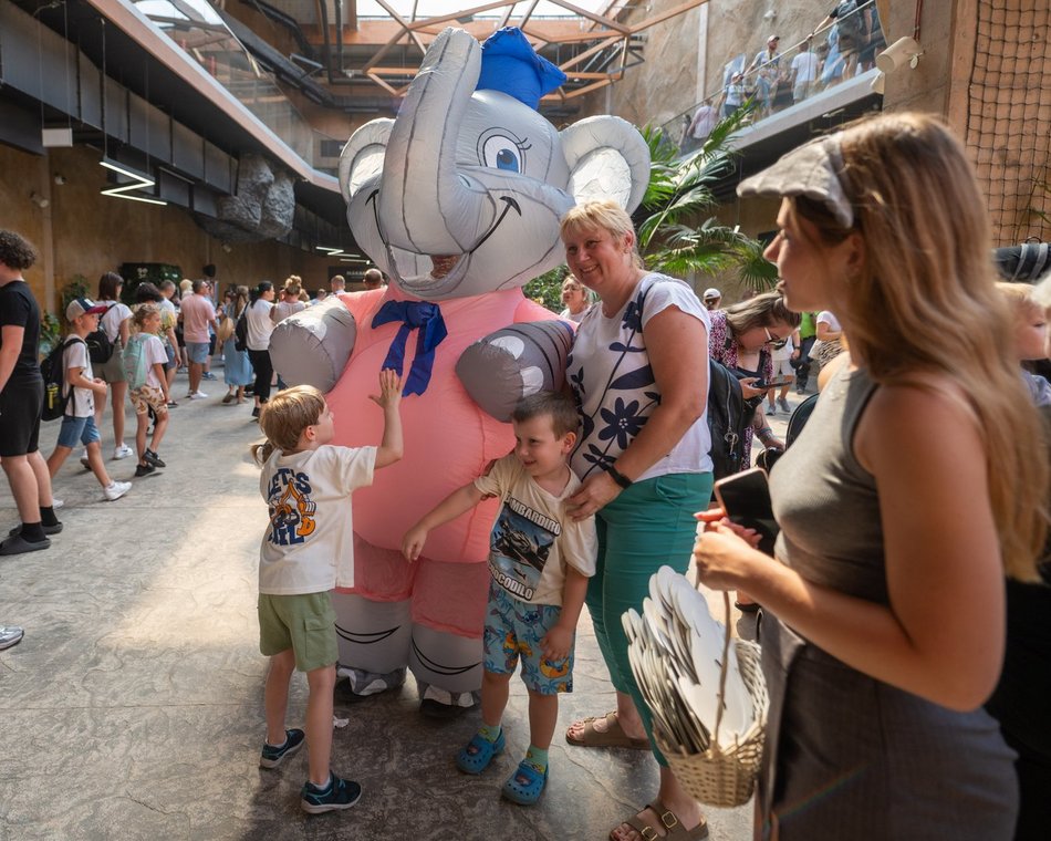 Łódź. Dzień Słonia w Orientarium Zoo Łódź. Tłumy łodzian i mnóstwo dobrej zabawy