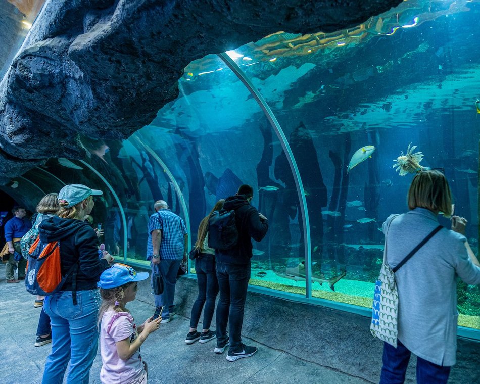 Łódź. Majówka 2025. Łodzianie wybrali relaks w Orientarium Zoo Łódź i w Aquaparku Fala