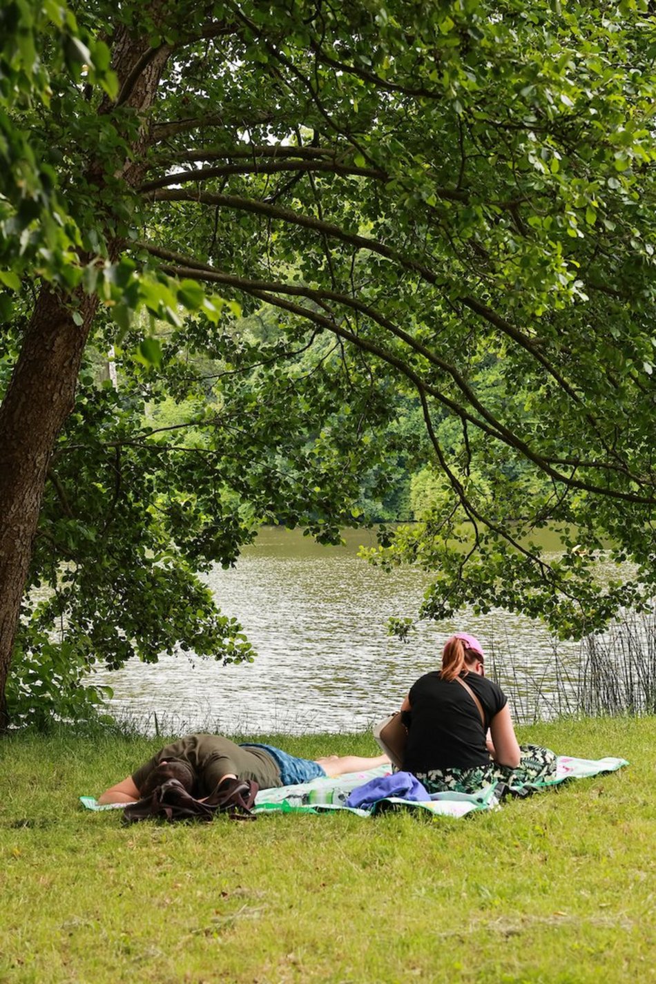Łódź. Cisza i spokój na Stawach Stefańskiego w Łodzi. Idealne miejsce na niedzielne popołudnie