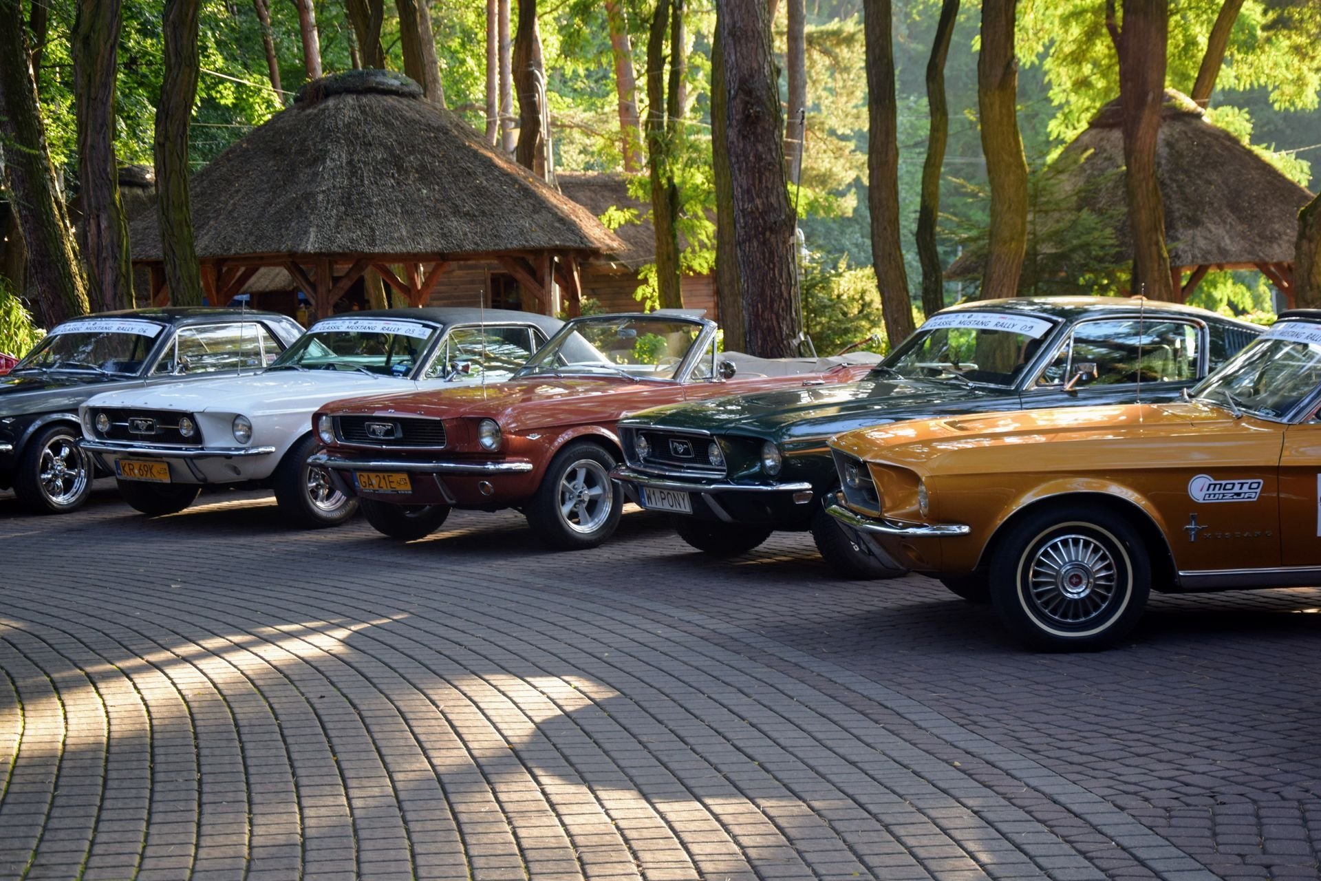 Мустанги в Ogrodach Geyera , мат. преси