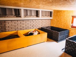 Międzynarodowy Dzień Jeża. Jak pomóc temu małemu ssakowi przetrwać zimę?