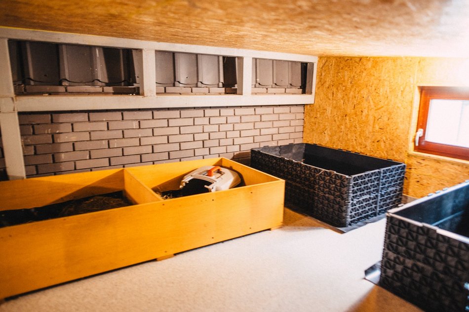 Międzynarodowy Dzień Jeża. Jak pomóc temu małemu ssakowi przetrwać zimę?