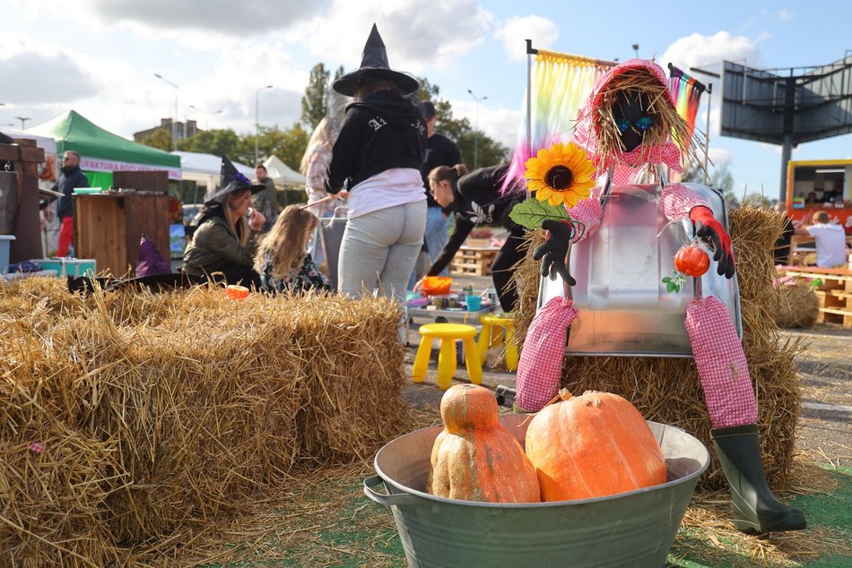 Farma Dyniowa w Pasażu Łódzkim