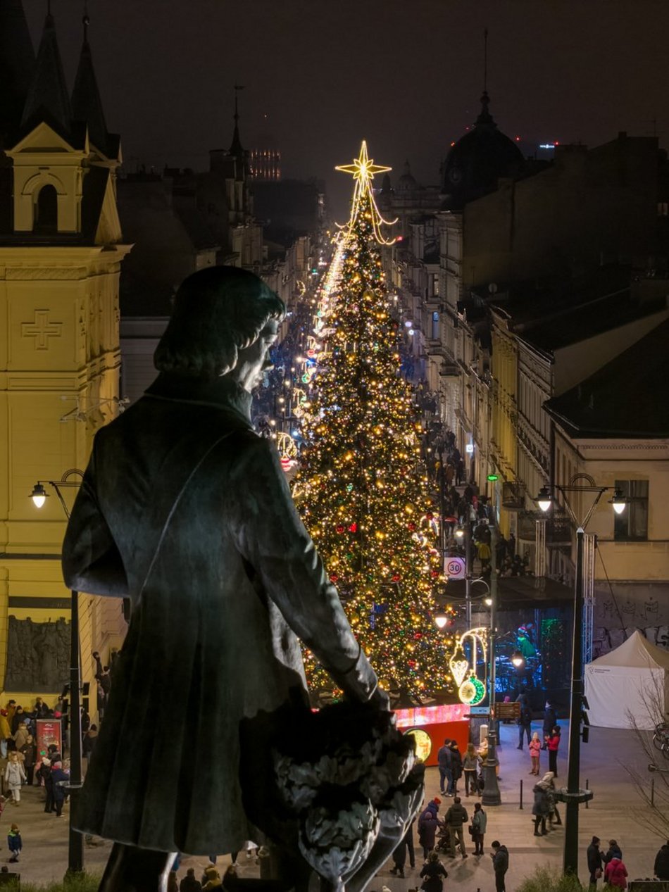 Choinka na placu Wolności w Łodzi