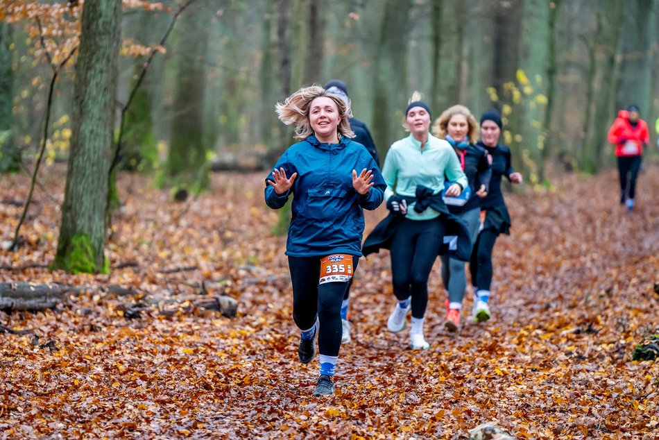 Cookie Run w Lesie Łagiewnickim w Łodzi