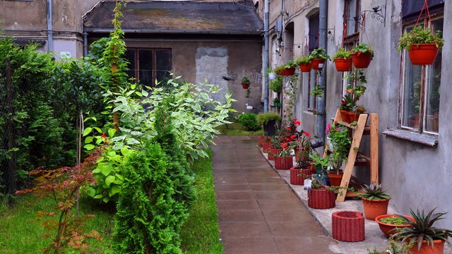 Zielone Mikrogranty w Łodzi. Zgłoś swoje pomysły i otrzymaj dofinansowanie na realizacje [SZCZEGÓŁY]