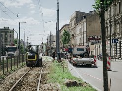 Więcej drzew przy Zachodniej w Łodzi! Trwa sadzenie 40 lip drobnolistnych