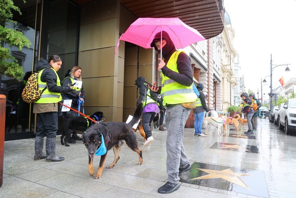 Parada kundelków w Łodzi 2025 przeszła ulicami. Skala słodyczy wysoka jak nigdy!