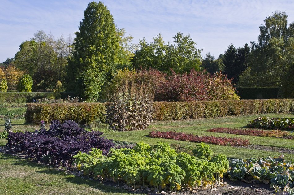 Ogród Botaniczny w Łodzi