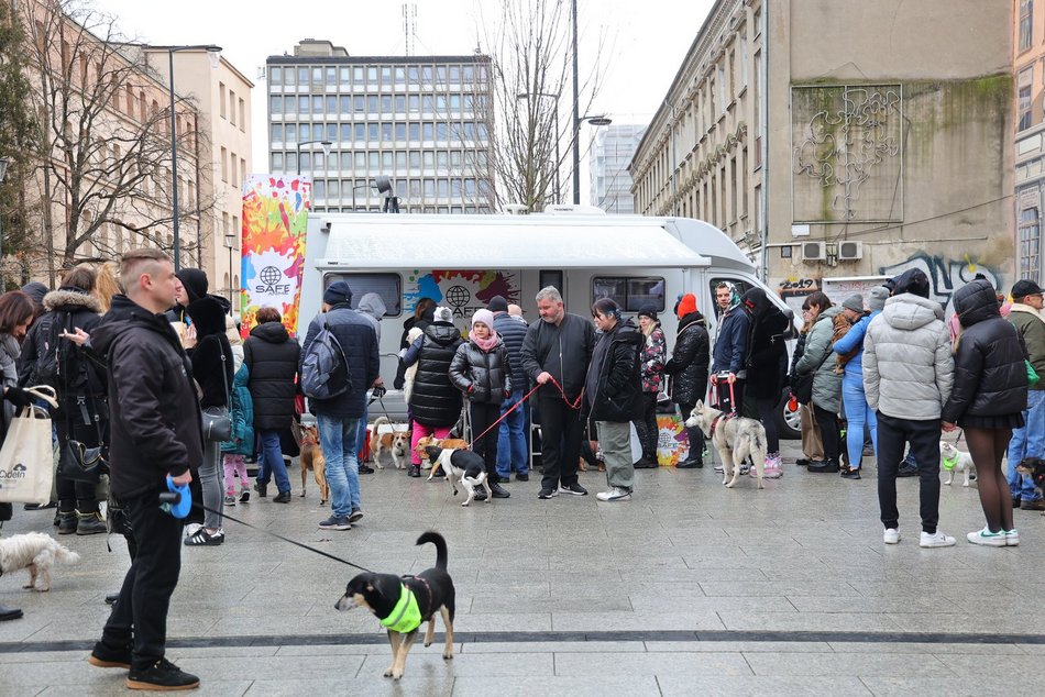 Parada Kundelków w Łodzi