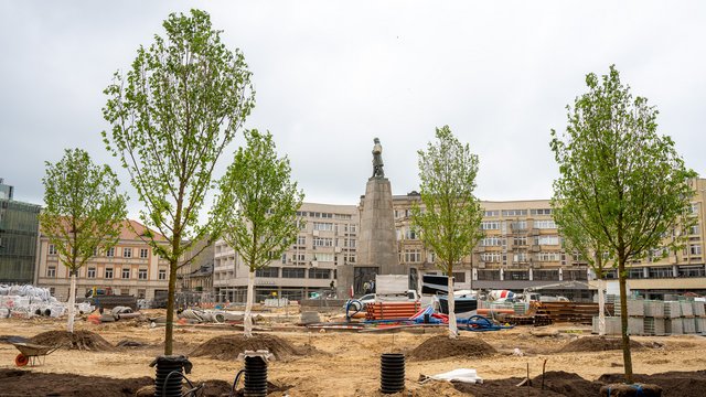 Plac Wolności będzie zieloną oazą w centrum Łodzi. Właśnie sadzą tam drzewa [ZDJĘCIA]