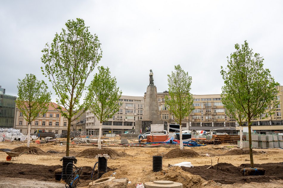 Plac Wolności - sadzenie drzew, plac budowy