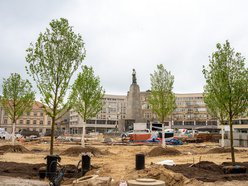 Plac Wolności - sadzenie drzew, plac budowy