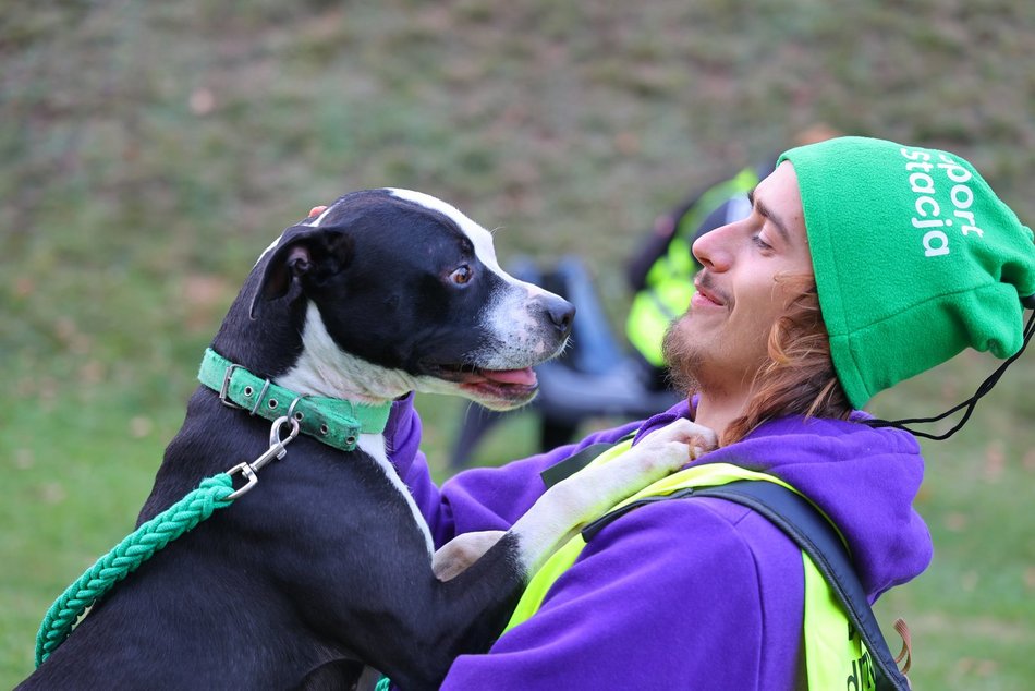 Psia Polówka w Porcie Łódź