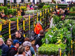 Łódź. Wiosenny Festiwal Roślin w EC1