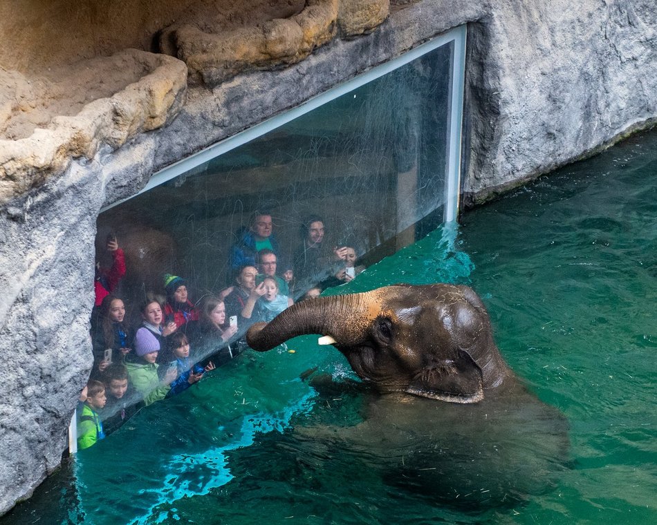 Łódź. Ferie 2025 w Orientarium Zoo Łódź