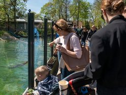 Orientarium Zoo Łódź na 602. Urodziny Łodzi. Polówka, dmuchańce i wyjątkowe karmienia!