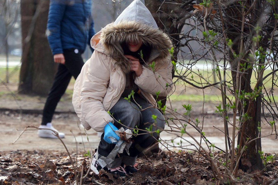 Galante Sprzątanie w Łodzi idzie pełną parą! Tak uczniowie dbają o środowisko!