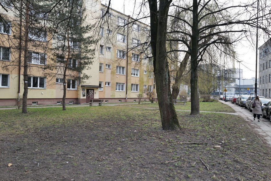 Łódź. Ulica Skrzywana w Łodzi będzie jeszcze zieleńsza! Nowy skwer w ramach Budżetu Obywatelskiego Łódź