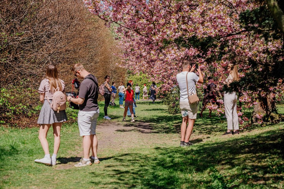 Łódź. Ogród Botaniczny w Łodzi w wiosennej odsłonie