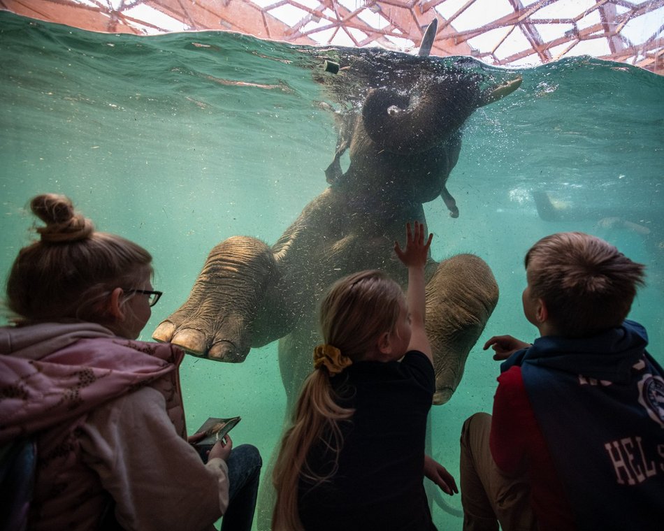 Łódź. Orientarium Zoo Łódź