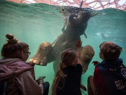 Łódź. Orientarium Zoo Łódź