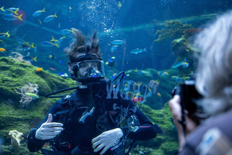 Łódź. Kwiecień w Orientarium Zoo Łódź. Nowe godziny otwarcia, darmowe zwiedzanie i więcej