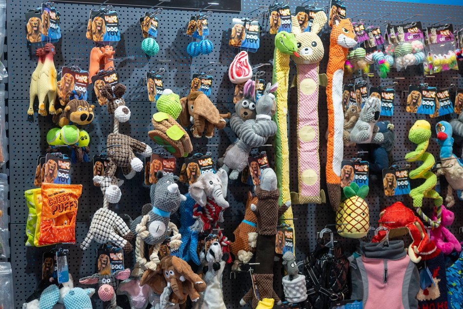 Łódź. Targi Pet Fair w hali Expo Łódź