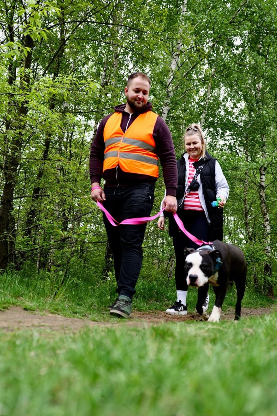 Łódź. Psy ze schroniska w Łodzi na spacerze z Łodzianami! Akcja "WYBIEGAJsŁODZIAKA" ma moc!