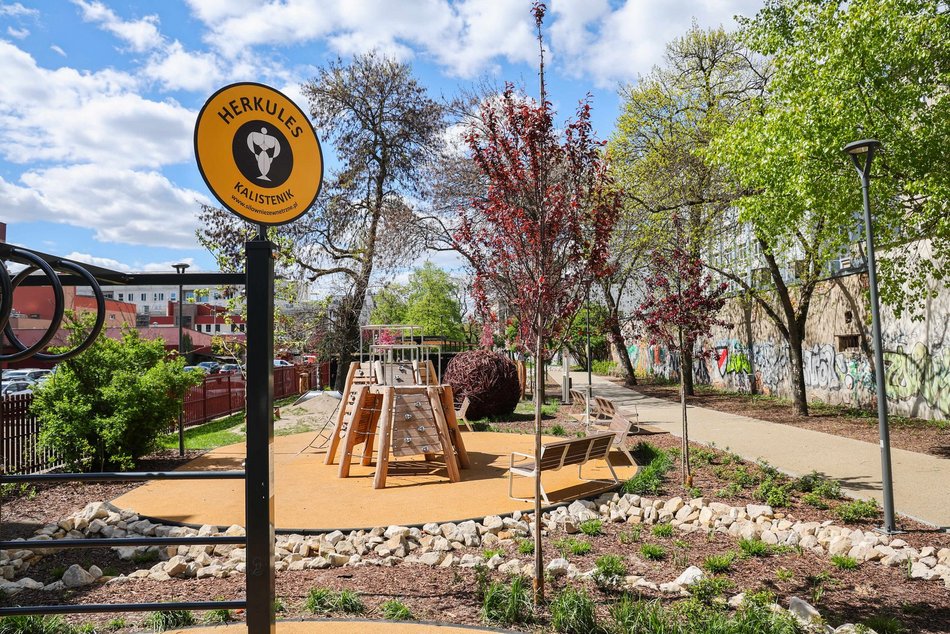 Łódź. Skwer Kunki w Łodzi zachwyca na wiosnę! To nie tylko drewniane pergole, ławki i mnóstwo zieleni