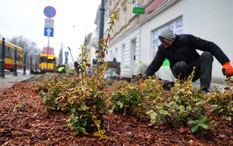 Prace przy ul. Narutowicza