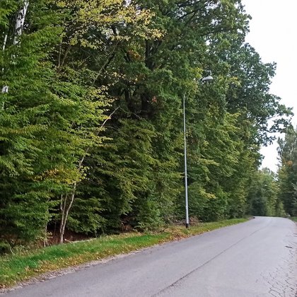 Otulina parku krajobrazowego Wzniesień Łódzkich , fot. ŁÓDŹ.PL