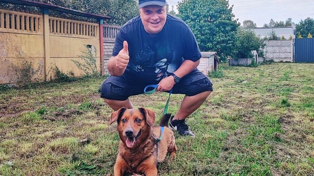 Dom dla Skiby potrzebny na już! Mimo 12 lat nie brak mu werwy!