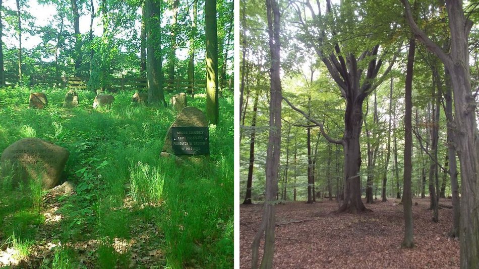 Pomysły na szybkie wycieczki rowerowe wokół Łodzi