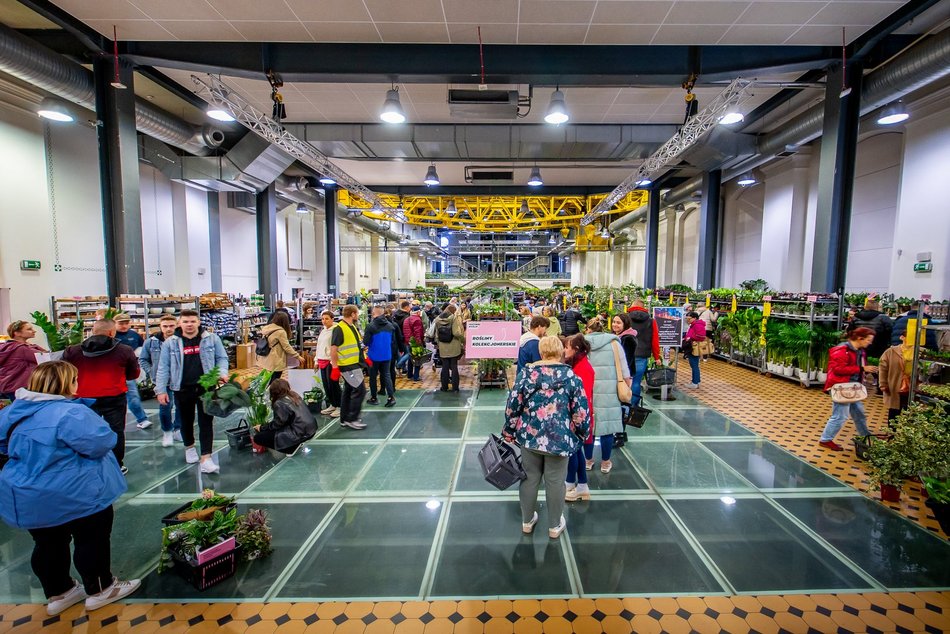 Festiwal Roślin w EC1 Łódź