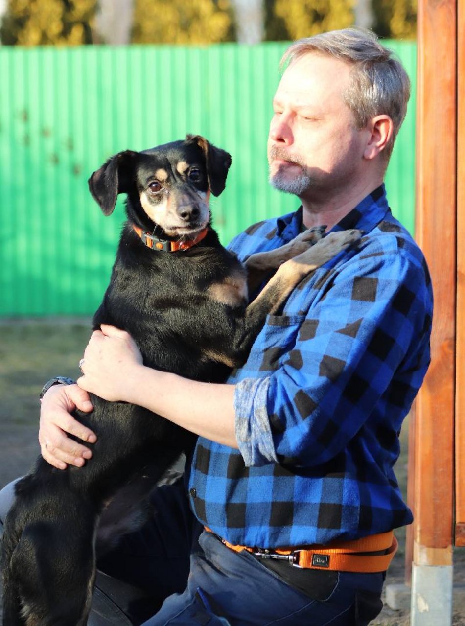 Łódź. Cudny cudak szuka domu. Jest w schronisku w Łodzi o wiele za długo!