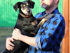 Łódź. Cudny cudak szuka domu. Jest w schronisku w Łodzi o wiele za długo!