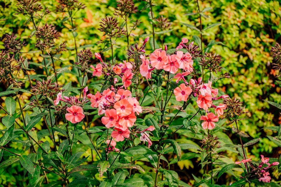 Łódź. Jesień w Ogrodzie Botanicznym w Łodzi. Tam z pewnością pokochasz tę porę roku!