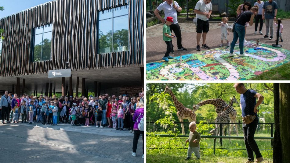 Łódź. Dzień Dziecka w Orientarium Zoo Łódź. Tylu atrakcji tam jeszcze nie było!
