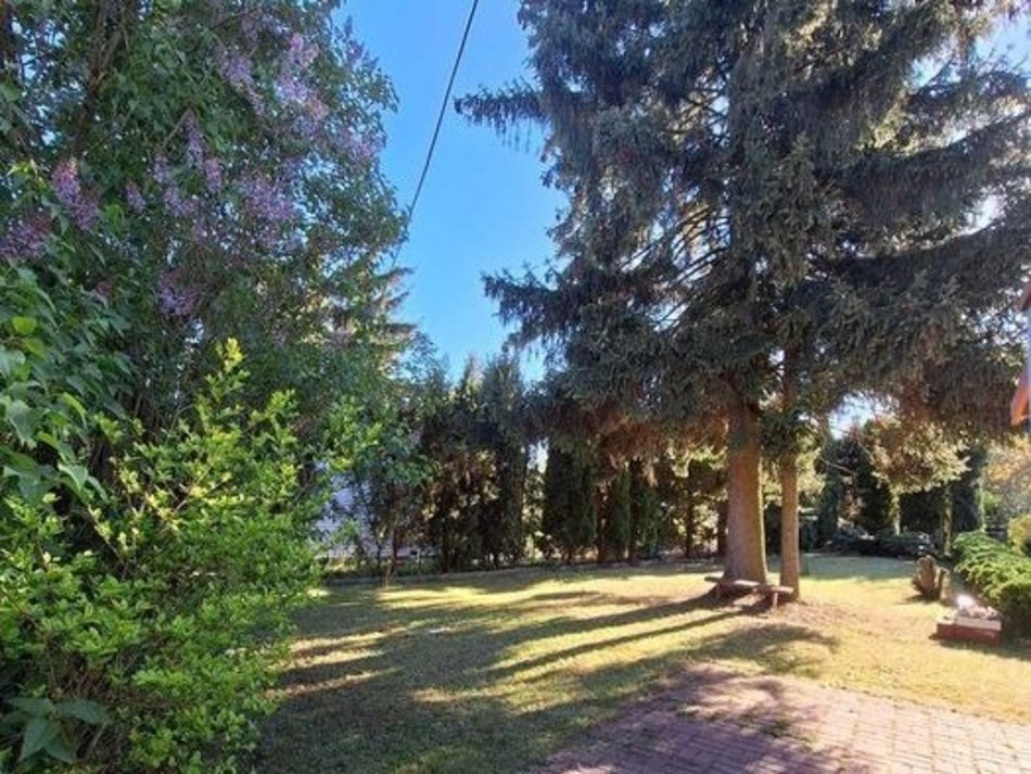 Łódź. Działka ROD „Zdrowie" (ul. Biegunowa 1/3)