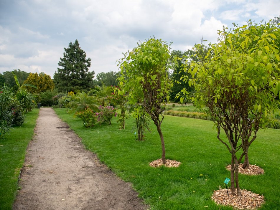 Ogród Fabrykanta w Ogrodzie Botanicznym w Łodzi