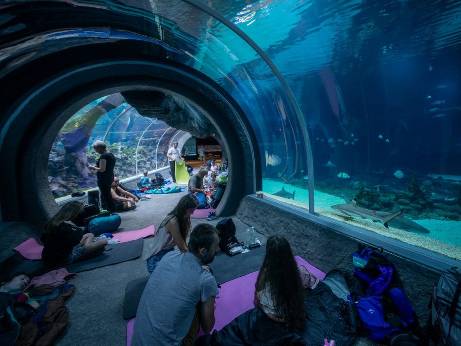 601. Urodziny Łodzi w Orientarium Zoo Łódź